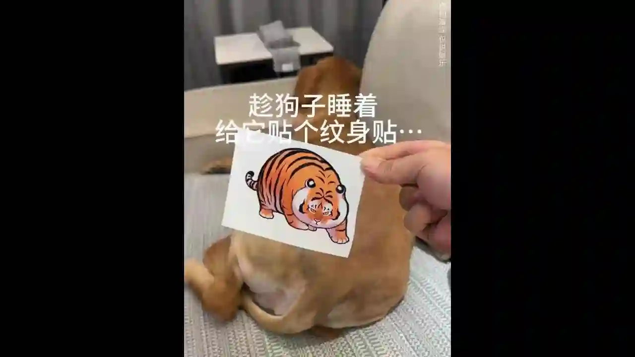 Dog: I got a cute mark after I woke up.