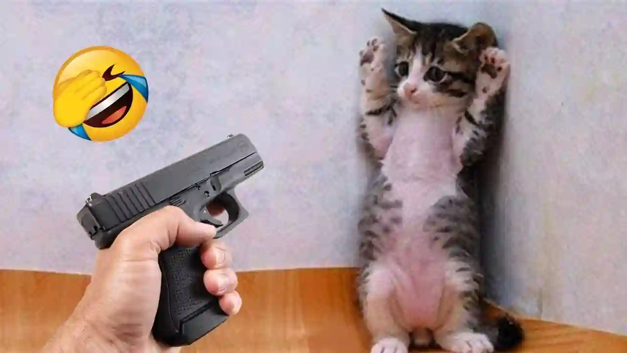 新しい面白い猫と犬のビデオ 😹🐶 最も面白い動物 😂 パート 7