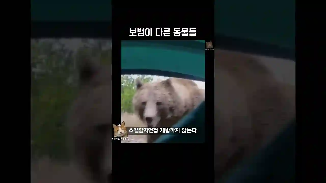 보법이 다른 동물들