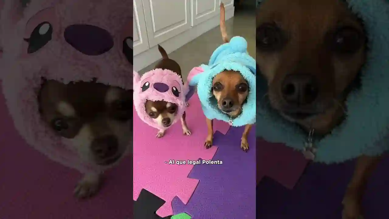 VOCÊ PODE SER O QUE QUISER SER!