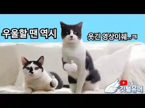 대박 웃긴 영상만 모음집 4탄! ㅋㅋㅋㅋㅋㅋ