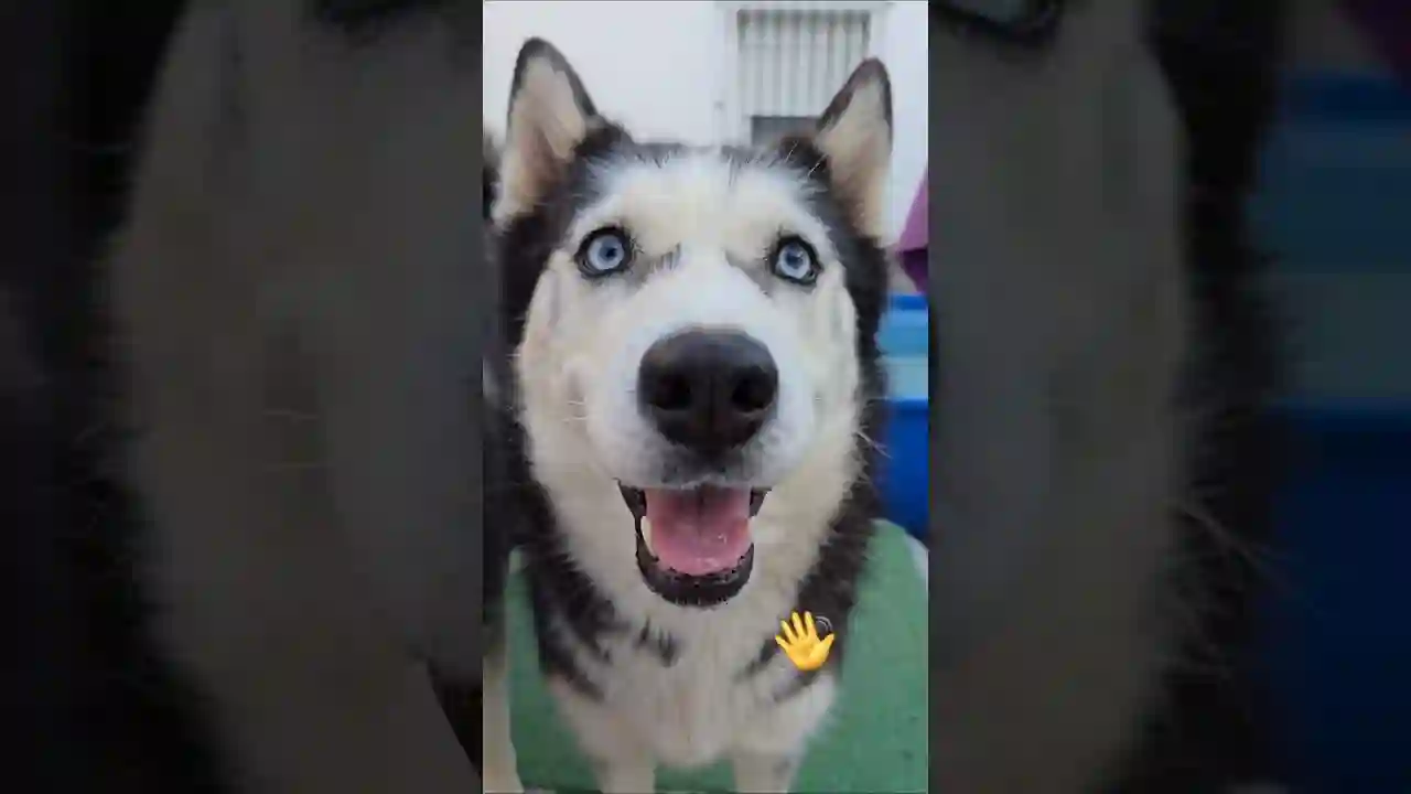 Mi niña preciosa ¡Guapa! 🥰 ¡Para comérsela a besos!
