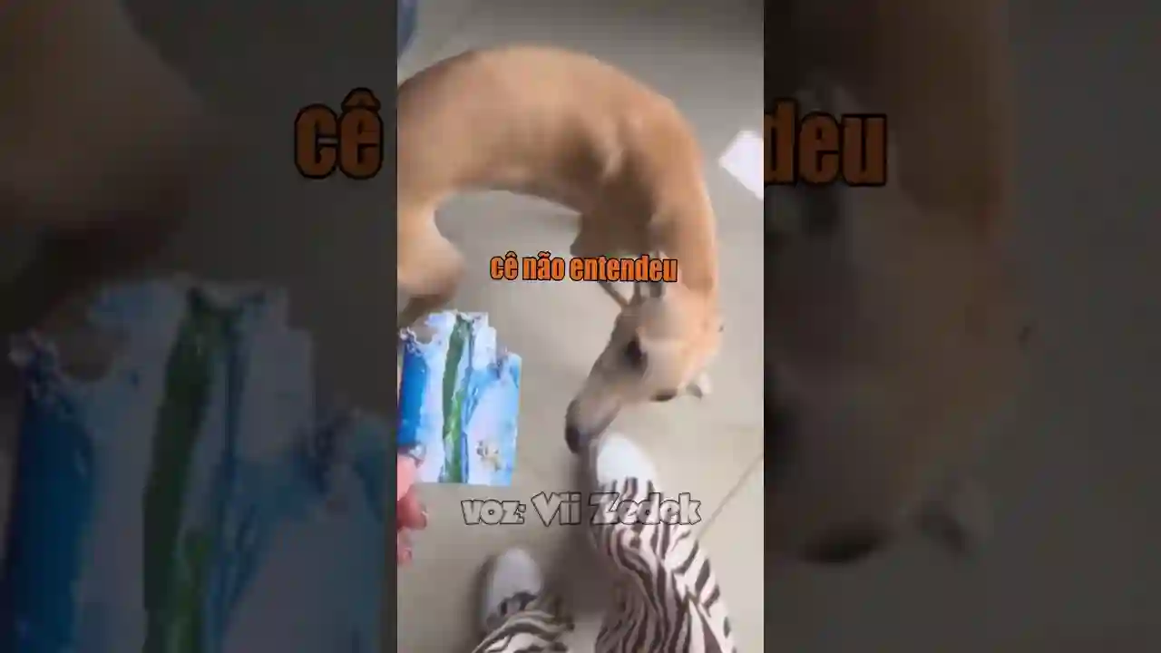 bichinhos que nos entendem - doguinhos culpados