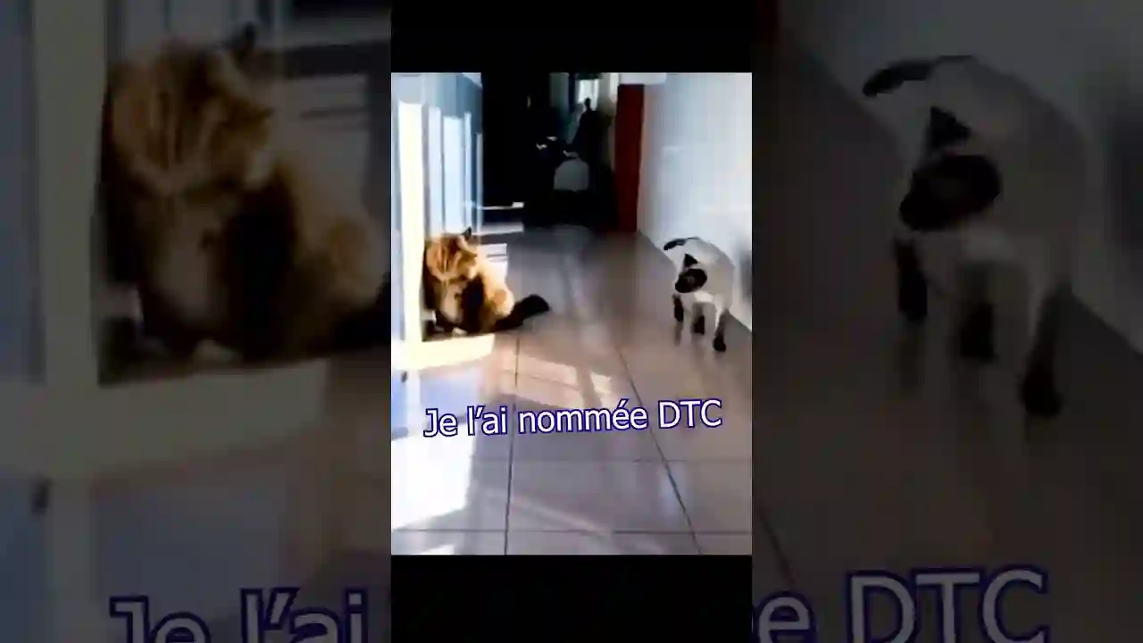Il joue en ranked aussi