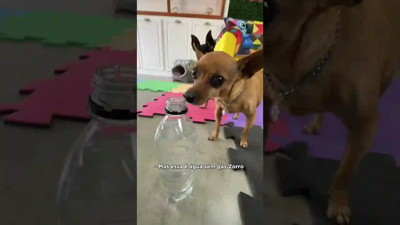 FIZEMOS UMA ÁGUA COM GÁS