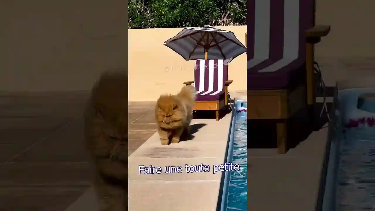Il s'est levé à 17h du matin