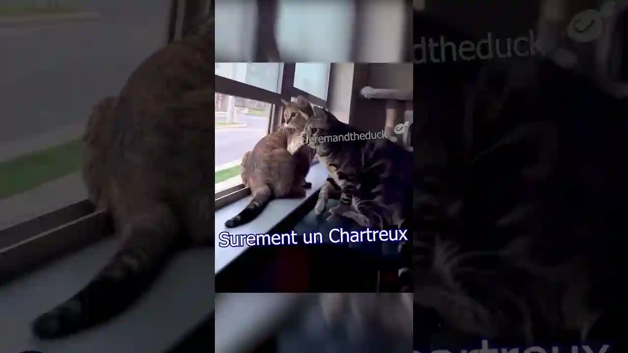 On ne sait toujours pas qui a fait le coup