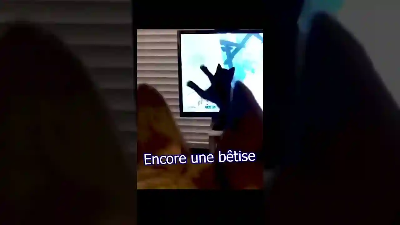 On ne parle pas des mêmes SPA, je crois