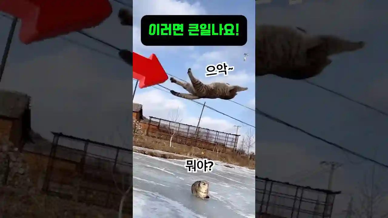 놀람주의) 이러면 큰일난다고!!