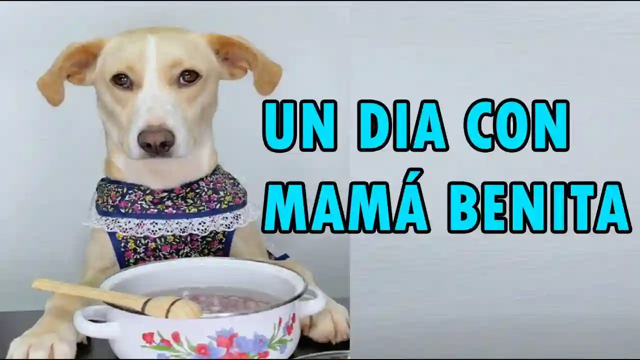 Un día con mamá Benita